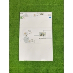 Gạch 30x60 NHTE22V