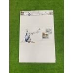 Gạch 30x60 THPWA13600