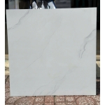 Gạch 60x60 Đá đồng chất 04