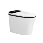 Bồn cầu thông minh AC949E