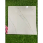 Gạch 50x50 ĐPL502