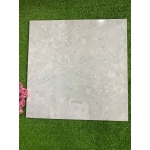 Gạch 50x50 ĐPL505