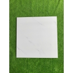 Gạch đá bóng kính 60x60 NB6602