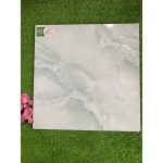 Gạch 50x50 TPSA5005