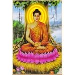 Tranh phong cảnh 46