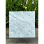 Gạch 80x80 TT58903