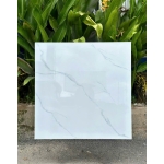 Gạch 80x80 TT58904