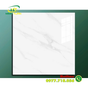 Gạch 1200x1200 12909