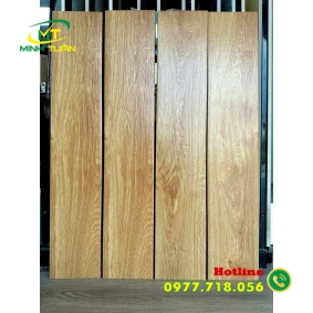 Gạch 15x80 TTTK50102