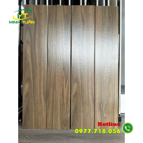 Gạch 15x80 TTTK50105