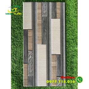 Gạch trang trí 25x50 01