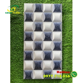 Gạch trang trí 25x50 02