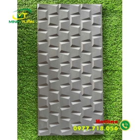 Gạch trang trí 25x50 ĐTP2508