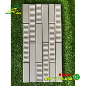 Gạch trang trí 25x50 KT2501