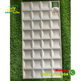 Gạch trang trí 25x50 HPD250310