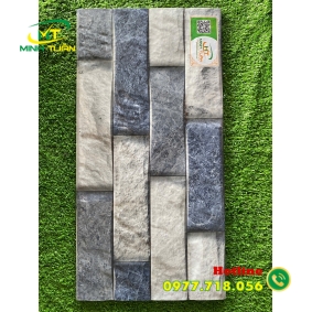 Gạch trang trí 25x50 HPD250111