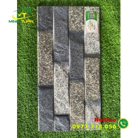 Gạch trang trí 25x50 HPD250112