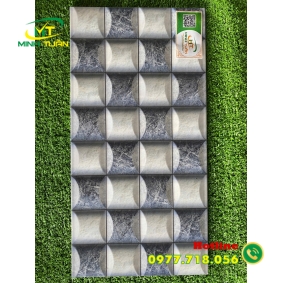 Gạch trang trí 25x50 HPD250320