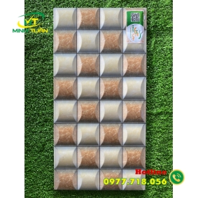 Gạch trang trí 25x50 HPD250321