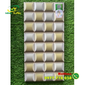Gạch trang trí 25x50 HPD250325