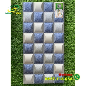 Gạch trang trí 25x50 HPD25311