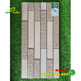 Gạch trang trí 25x50 IHIP2557