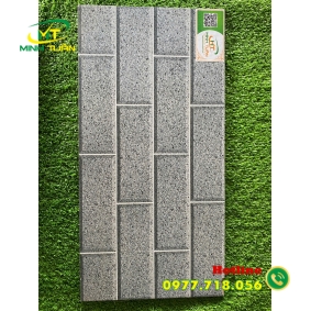 Gạch trang trí 25x50 TTP25200