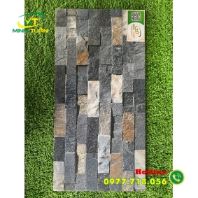 Gạch trang trí 25x50 TTP25205