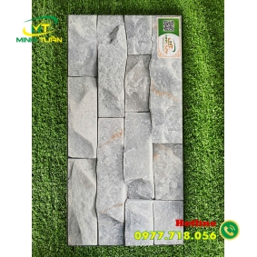 Gạch trang trí 25x50 TTP25215