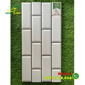 Gạch trang trí 25x50 TTP25251