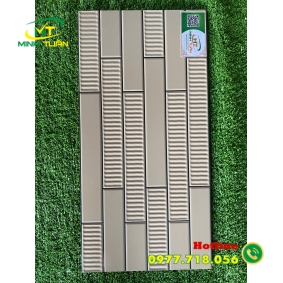 Gạch trang trí 25x50 TTP25260