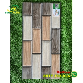Gạch trang trí 25x50 TTP25276