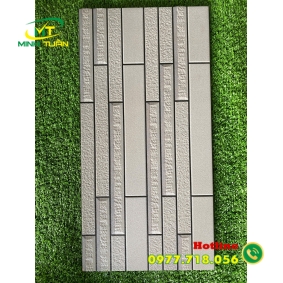 Gạch trang trí 25x50 VN444
