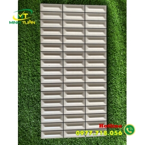 Gạch trang trí 25x50 VN4904