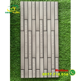 Gạch trang trí 25x50 VN8804