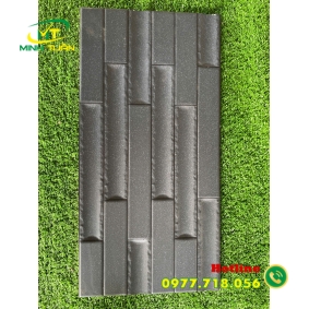 Gạch trang trí 25x50 VN8905