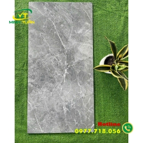 Gạch 60x1200 BD121002