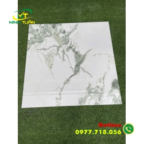Gạch 80x80 KTL822