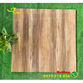 Gạch 80x80 TS9103