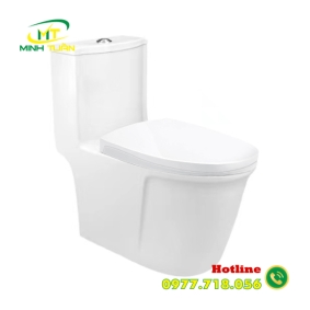 Bồn cầu liền khối DK - C2419