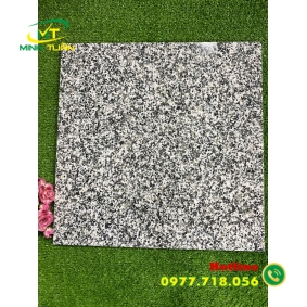 Gạch 50x50 ĐPL509