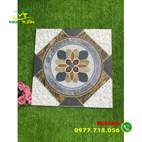 Gạch 50x50 ĐPLSV55003