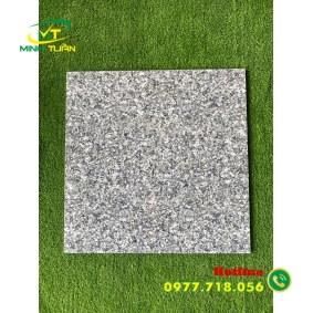 Gạch đá bóng kính 60x60 HK6634