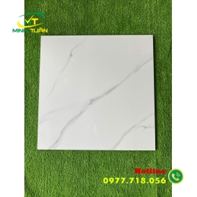 Gạch đá bóng kính 60x60 HK6636