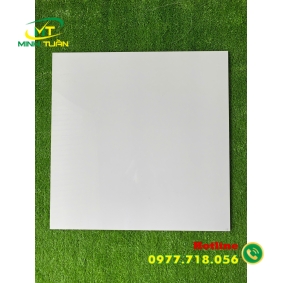 Gạch đá bóng kính 60x60 NB6600
