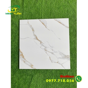 Gạch đá bóng kính 60x60 NB6603