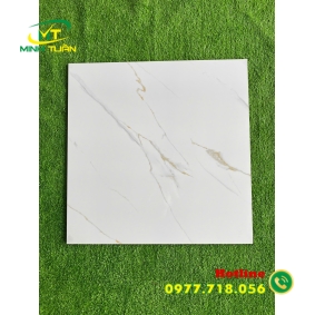 Gạch đá bóng kính 60x60 NB6609