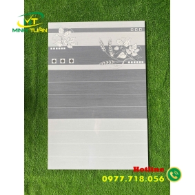 Gạch ốp tường 30X60 HK3072