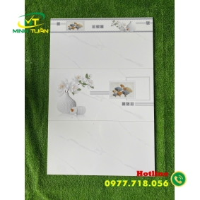 Gạch ốp tường 30X60 HK3081