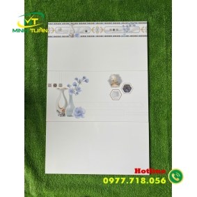 Gạch ốp tường 30X60 HK3082